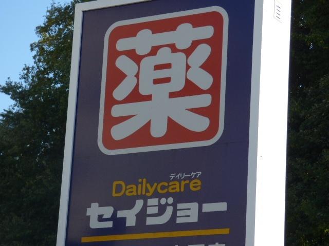 どらっぐぱぱす武蔵小杉店：852m