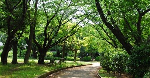 岡村公園：1346m