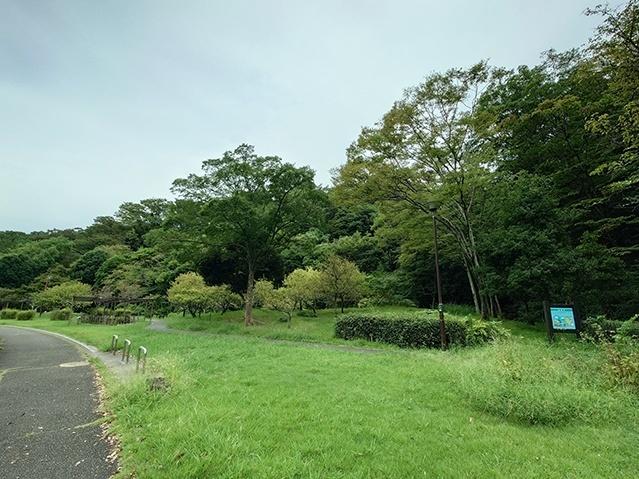 富岡総合公園：600m
