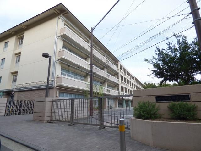 横浜市立牛久保小学校：569m