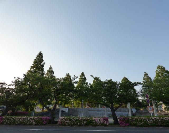 新本牧公園：828m