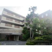 南向きのお部屋です