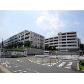 南東向きです