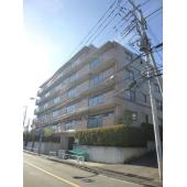 外観タイル張りです