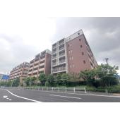 外観タイル張りです