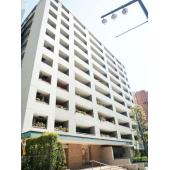 外観タイル張りです