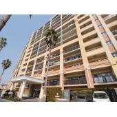 南向きのお部屋です