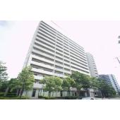 分譲タイプです