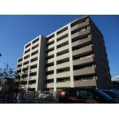 分譲タイプです