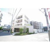 分譲タイプです