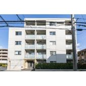 人気のエリアです