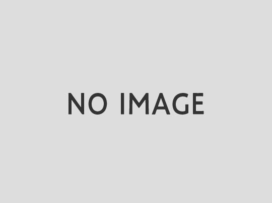 川崎市中原区小杉陣屋町１丁目戸建 外観