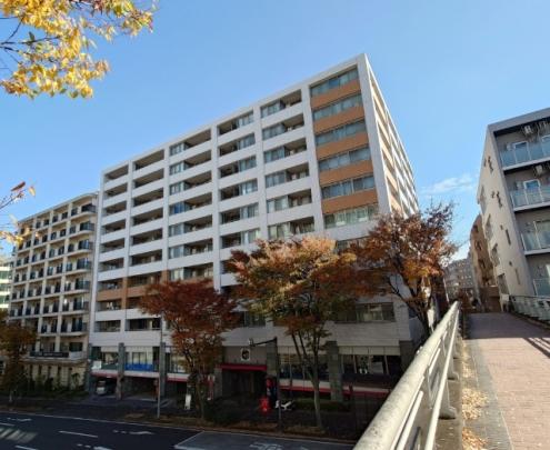 人気のライオンズ!