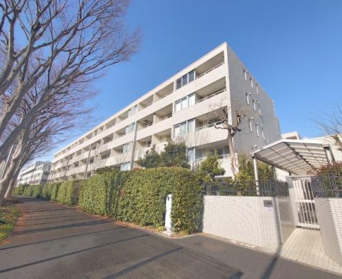 �l�C�̕����}���V����