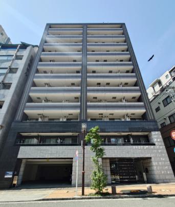 �l�C�̃K�[���V���[�Y�I