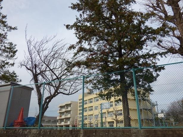 周辺環境画像