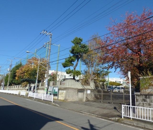 横浜市立一本松小学校：425m