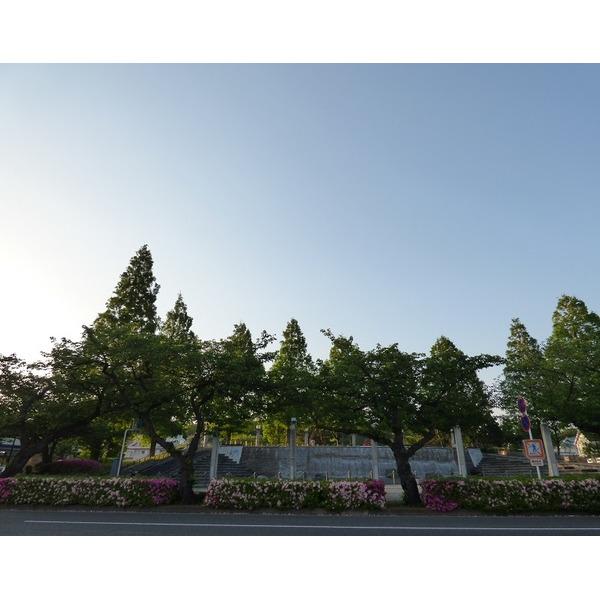 公園