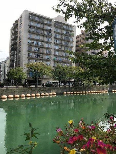 人気エリアの分譲