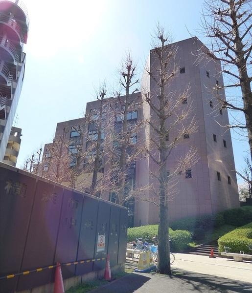 図書館