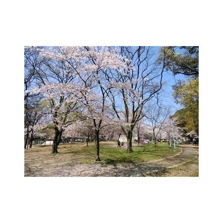 平野白鷺公園：1408m