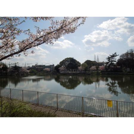 プレサンス阿倍野阪南町 周辺環境写真3 桃ケ池公園：1235m