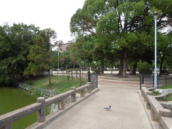 桃ケ池公園：362m