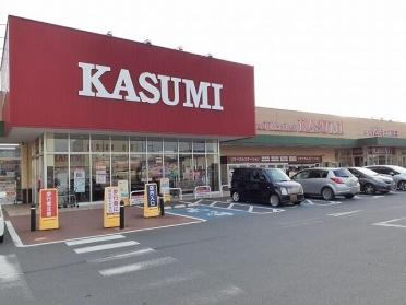 カスミ水海道栄町店：700m