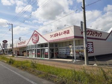 ヤックスドラッグつくばみらい平：260m