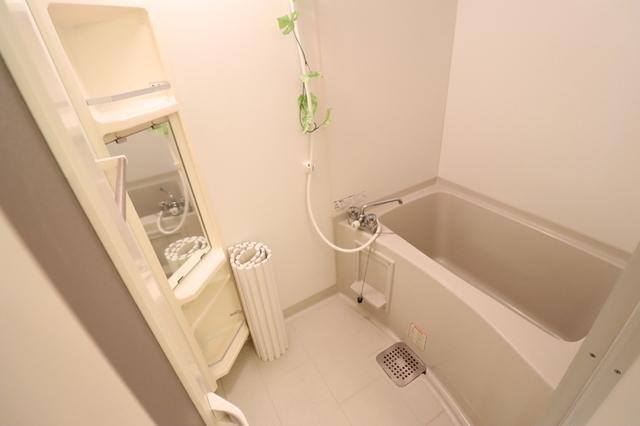 Ｓｈｉｎｍｅｉ　Ⅰ（102） 部屋画像