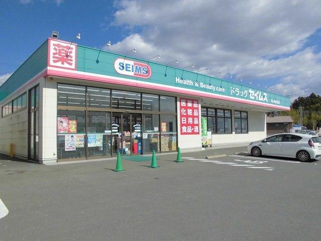 ドラッグセイムス竜ヶ崎白羽店：1250m
