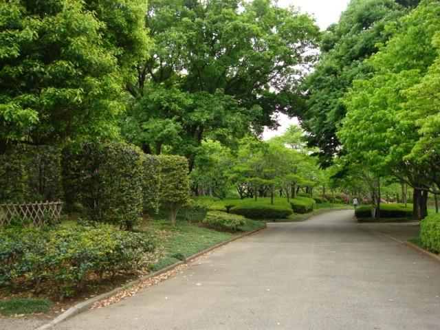 八坂公園：789m