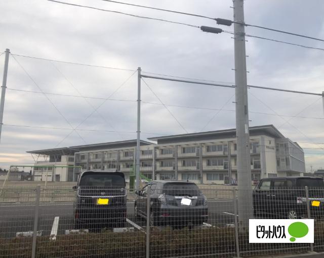 つくばみらい市立富士見ヶ丘小学校：231m