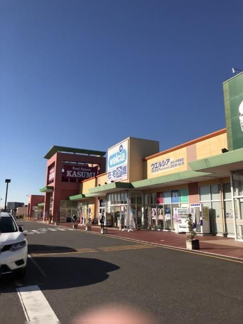 カスミフードスクエアみらい平駅前店：741m