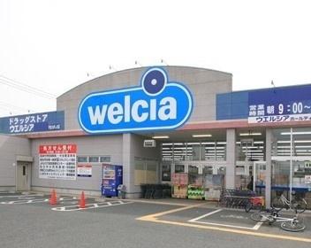 ウエルシア守谷松並店：264m