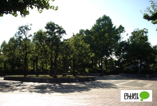 公園