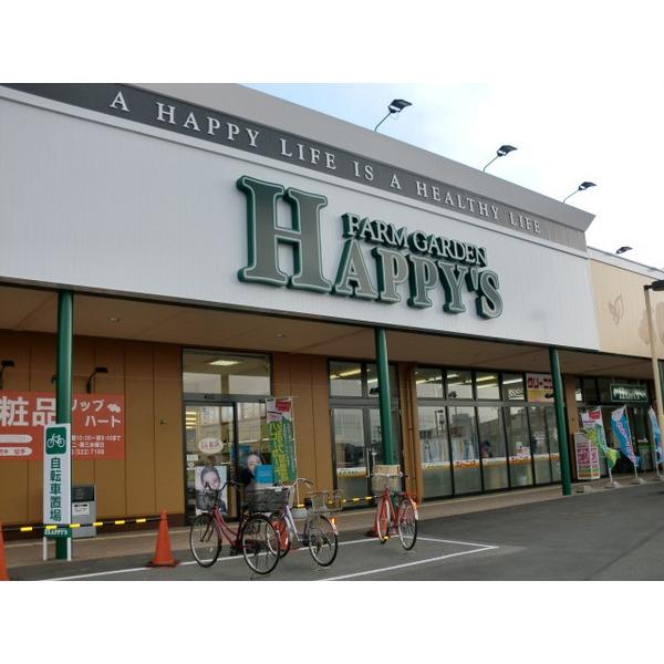 ハピーズ玉島店：1421m