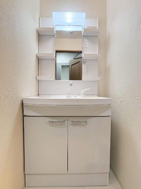 シティガーデンオオヤマ 洗面
