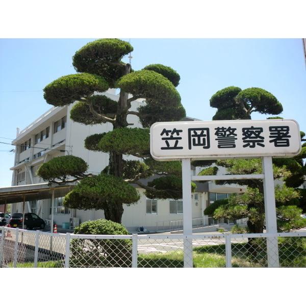 周辺環境画像