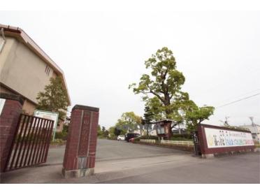 熊本市立田迎南小学校：398m