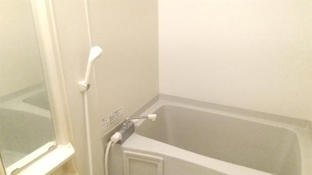 フロンティア・ウィン（2-A） 部屋画像