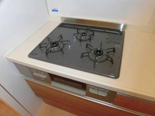 メロンハウスⅡ（102） 部屋画像