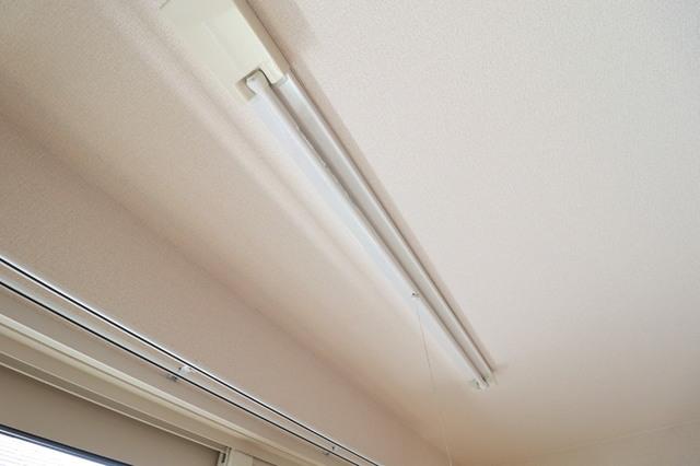 レスポワールＴＳＵＲＵ（201） 部屋画像