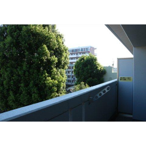 EMYU新町（409） 部屋画像