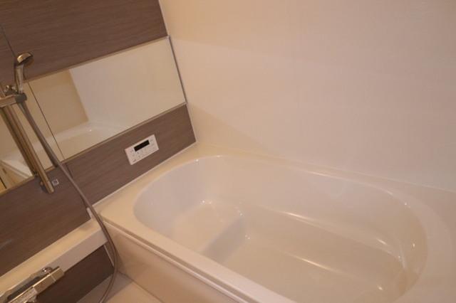 ビブロスポンテⅡ（307） 部屋画像