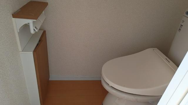 アンプルール　A棟（202） トイレ