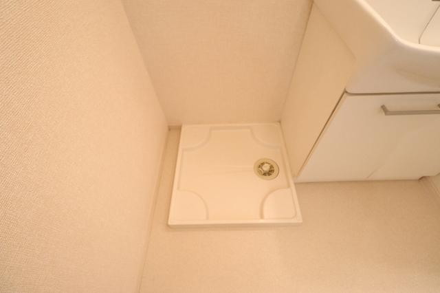 ラフィーネⅡ（101） 部屋画像
