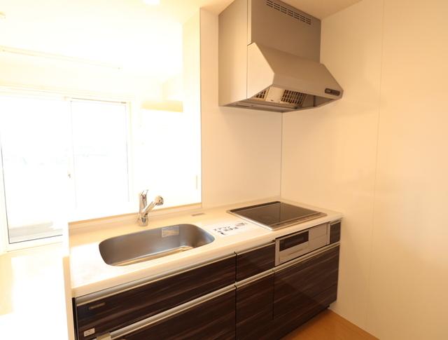 ルミエール長嶺（302） 部屋画像