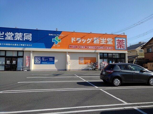 ドラッグ新生堂尾ノ上店：500m