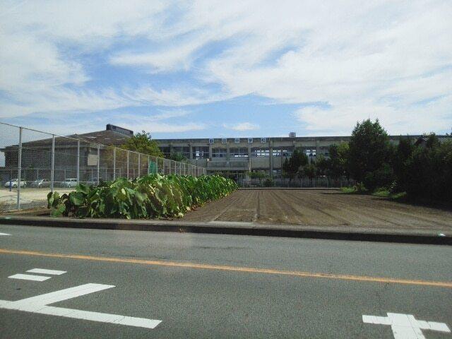 飽田中学校：810m